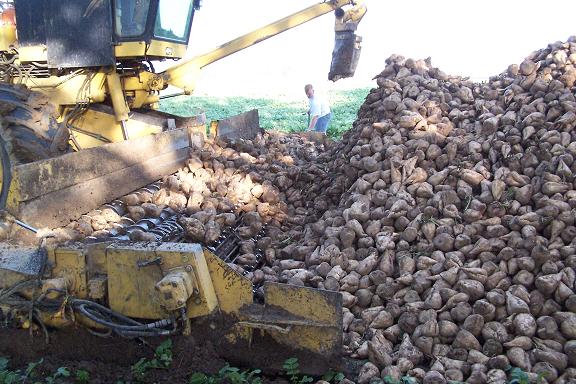 Deze machine wordt de maus genoemd.