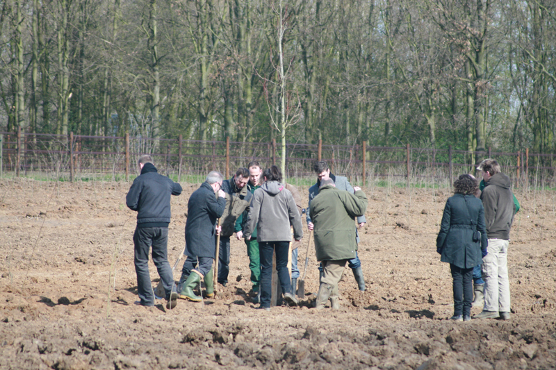 Ter afsluiting van deze boomfeestdag worden nog 3 bomen geplant.