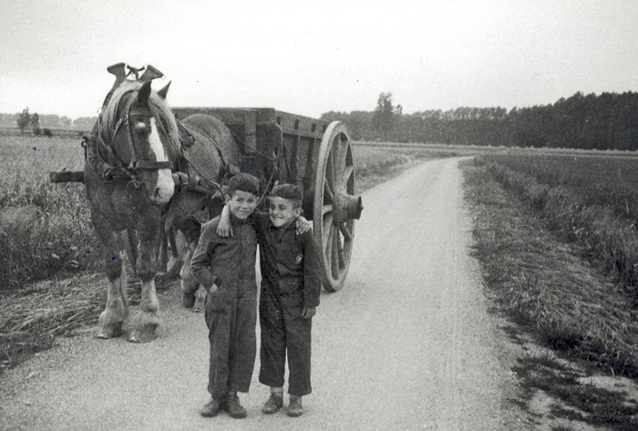 Bosweg circa 1960