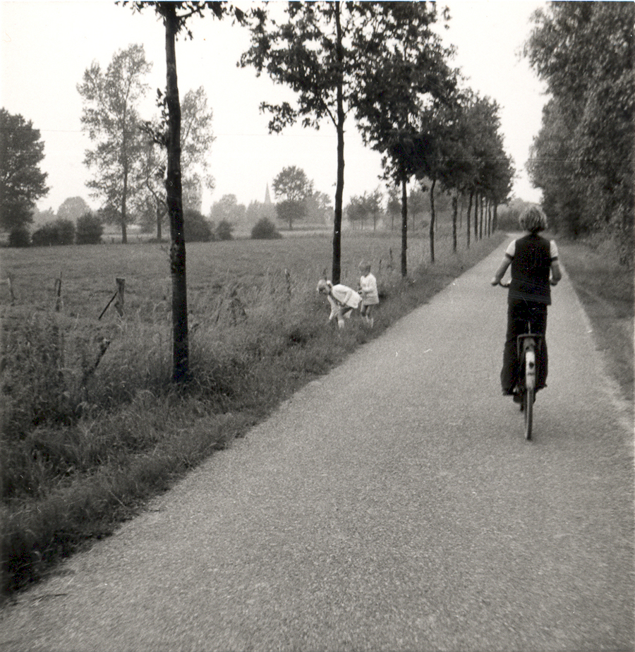 Bosweg ca 1972.