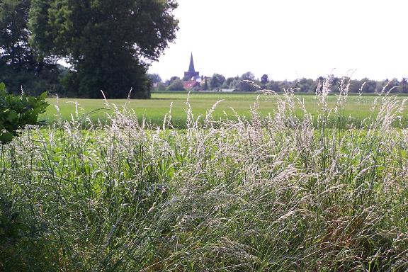 Verderop zie je Dieteren in het groen liggen.