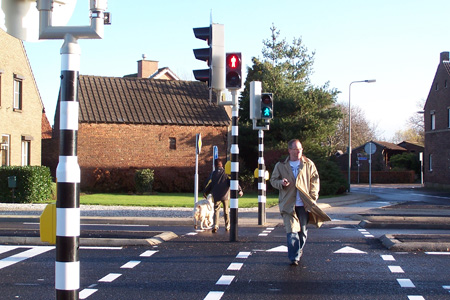 Het beproeven van de instellingen voor voetgangers.