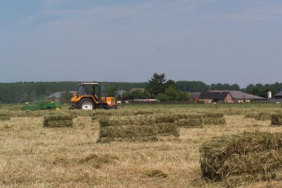 Het persen van hooi in Deetere.