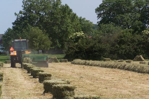 Het persen van hooi in Deetere.