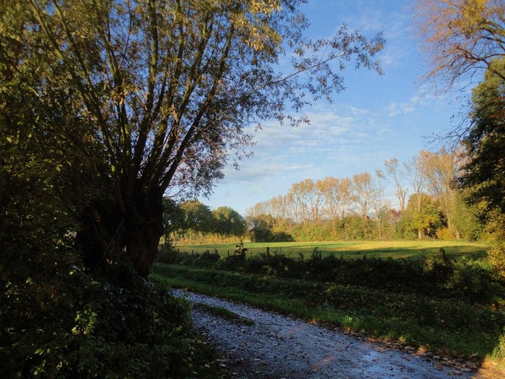 Doorkijk vanuit visvijver naar Doort.