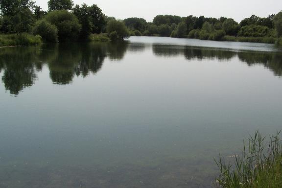 Helder water in de vijver.