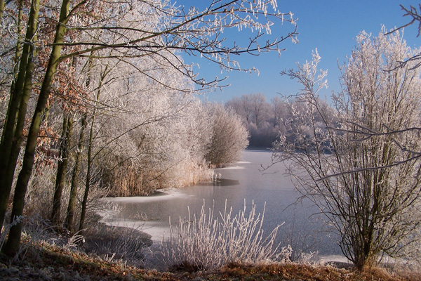 Winterse foto in Dieteren op 22 december 2007