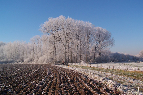 Winterse foto in Dieteren op 22 december 2007