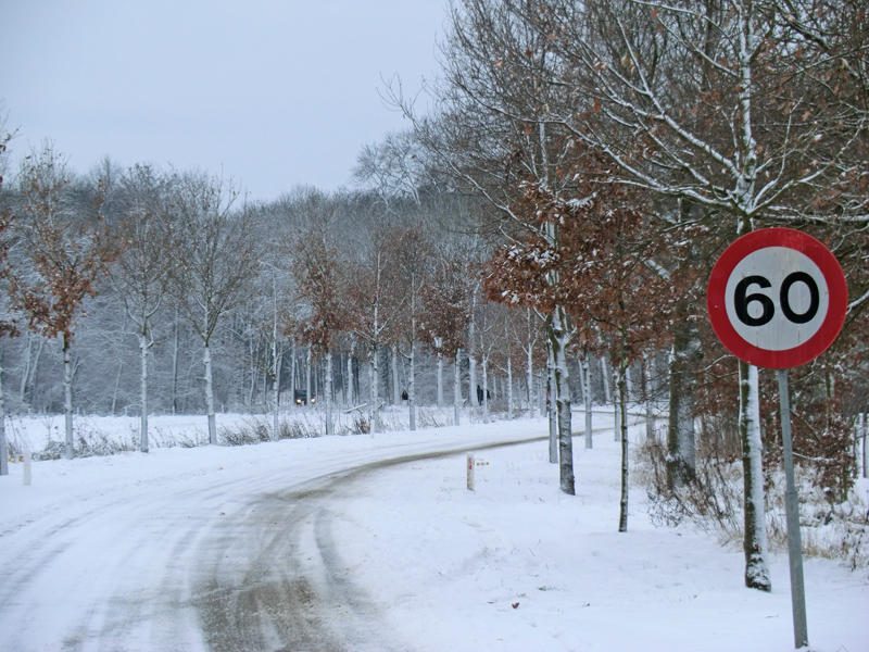 Winterse foto in Dieteren op 19 december 2010