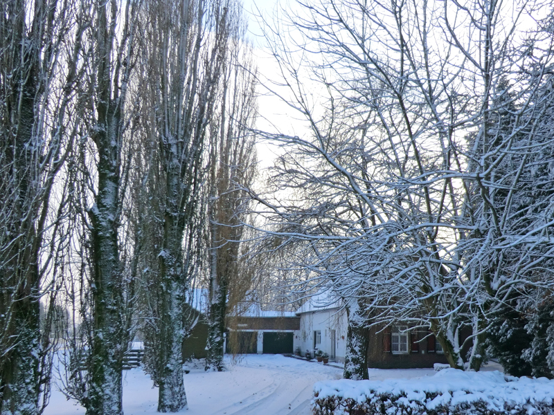 Winterse foto in Dieteren op 20 december 2010